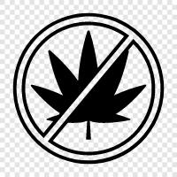 marijuana prohibition, medical marijuana, recreational marijuana, marijuana not allowed icon svg
