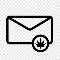 marijuana ship, marijuana transport, marijuana smuggling, ship marijuana icon svg