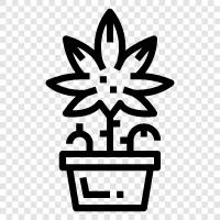 marijuana, cannabis, pot, weed smoking icon svg