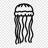 marine life, scuba diving, jellyfish sting, jellyfish photos icon svg