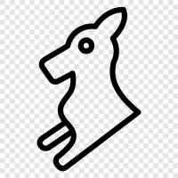 marsupial, animal, fauna, Australia icon svg