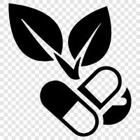 medicinal herbs, herbs for health, herbal supplements, herbal remedies icon svg