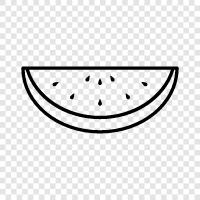 melon, fruit, sweet, juicy icon svg