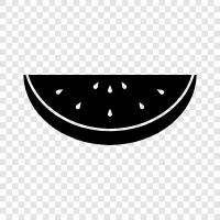 melon, fruit, summer, sweet icon svg