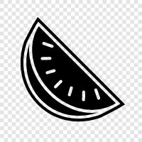 melon, cantaloupe, honeydew, fruit icon svg