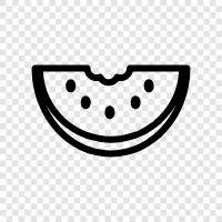 melon, cantaloupe, honeydew, fruit icon svg