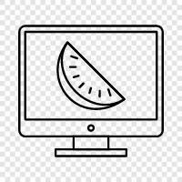 melon, cantaloupe, honeydew, fruit icon svg