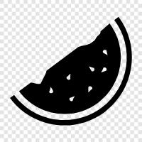 melon, cantaloupe, honeydew, watermelon slice icon svg