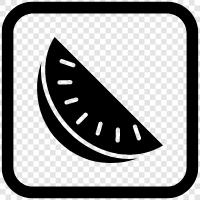 melon, honeydew, cantaloupe, fruit icon svg