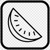 melon, cantaloupe, honeydew, delicious icon svg