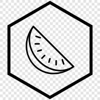 melon, cantaloupe, honeydew, watermelon juice icon svg