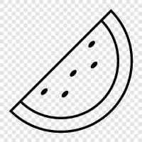 melon, fruit, snack, healthy icon svg