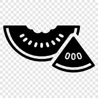 melon, cantaloupe, honeydew, fruit icon svg