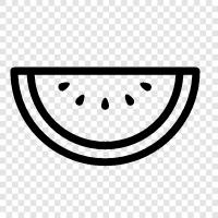 melon, fruit, summer, healthy icon svg