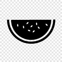 melon, fruit, summer, harvest icon svg