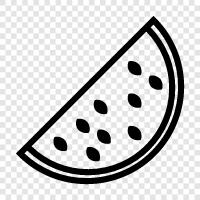 melon, fruit, summer, produce icon svg