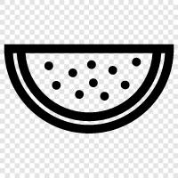 melon, cantaloupe, honeydew, seedless icon svg