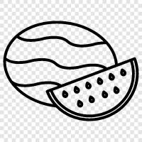 melon, fruit, sweet, delicious icon svg
