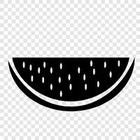 melon, fruit, vegetable, healthy icon svg