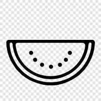 melon, cantaloupe, honeydew, seedless icon svg