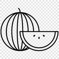 melon, fruit, pink, sweet icon svg