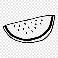 melon, fruit, summer, sweet icon svg