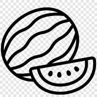 melon, fruit, summer, healthy icon svg