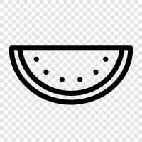 melon, fruit, fruit juice, fresh icon svg