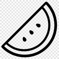 melon, fruit, sweet, healthy icon svg