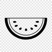 melon, cantaloupe, honeydew, fruit icon svg