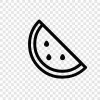 melon, cantaloupe, honeydew, fruit icon svg