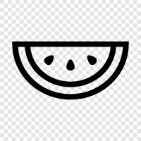 melon, fruit, food, healthy icon svg