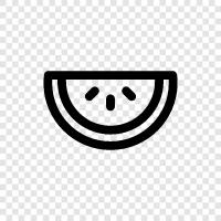 melon, cantaloupe, honeydew, fruit icon svg