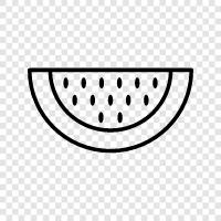 melon, fruit, summer, sweetness icon svg