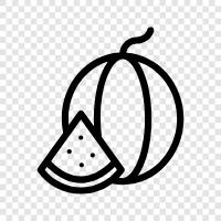 Melons icon