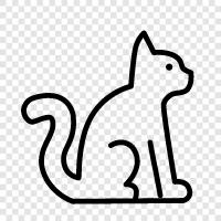 meow, house, purr, cute icon svg