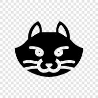 meow, purr, feline, house cat icon svg