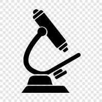 microscope, microscope pictures, microscope pictures of animals, microscope pictures of plants icon svg