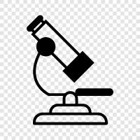 microscope, microscope images, microscope pictures, microscope videos icon svg