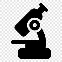 microscope, microscope shop, microscopes, microscopic examination icon svg