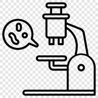 microscope, optical microscope, digital microscope, scanning electron microscope icon svg