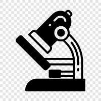 microscope, microscopes, optical microscope, scanning electron microscope icon svg