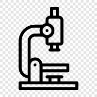 microscope images, microscope slides, microscope science, microscopic examination icon svg