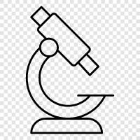 microscope, microscope equipment, microscope accessories, microscope software icon svg