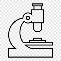 microscope, optical microscope, magnifying glass, microscopy icon svg