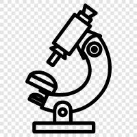 microscope, microscope equipment, microscopy, optical microscope icon svg