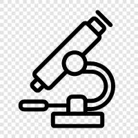 microscope, microscope images, microscope photography, microscopic images icon svg