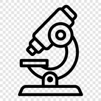 microscope, microscope pictures, microscope pictures of bacteria, microscope pictures of cells icon svg