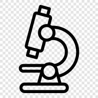 microscope, optical microscope, digital microscope, scanning electron microscope icon svg