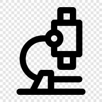 microscope, optical microscope, fluorescence microscope, electron microscope icon svg